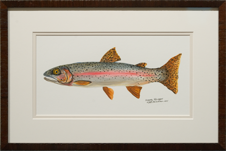 Artic char by artist Ruth Meaders